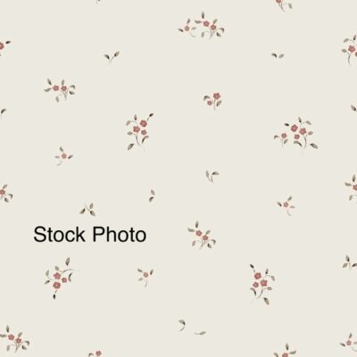 Swiss Dot Knit- Dainty Rust Floral