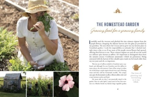 The Heart of the Homestead - Image 4